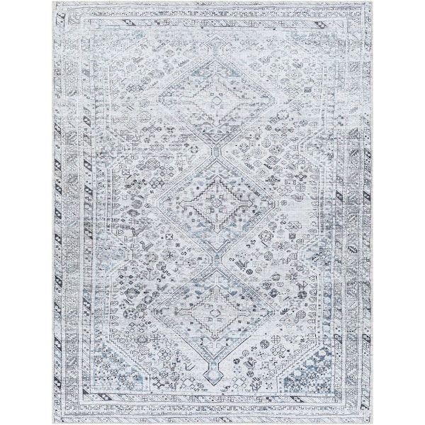 Livabliss Amelie AML-2380 Machine Washable Area Rug AML2380-679 - main